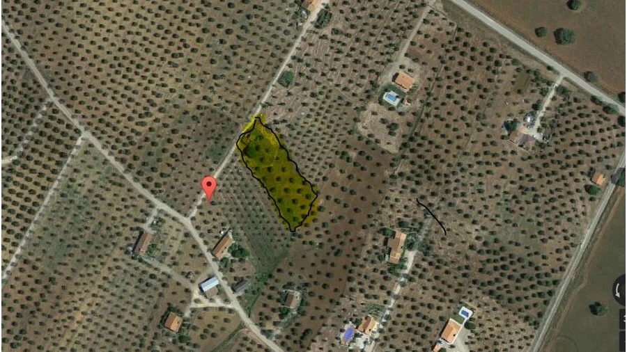 Terreno para Venda em Alagoa