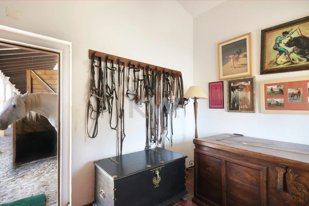 Moradia T7 para Arrendamento em Monforte Foto 68