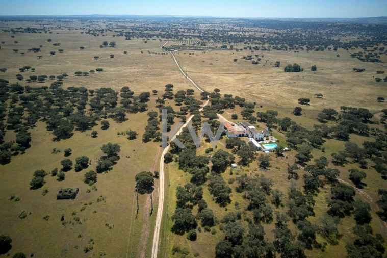 Moradia T7 para Arrendamento em Monforte Foto 83