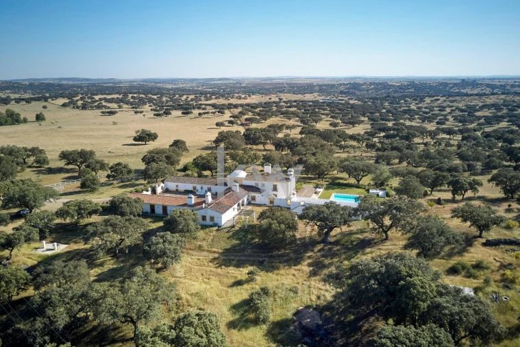 Moradia T7 para Arrendamento em Monforte Foto 92