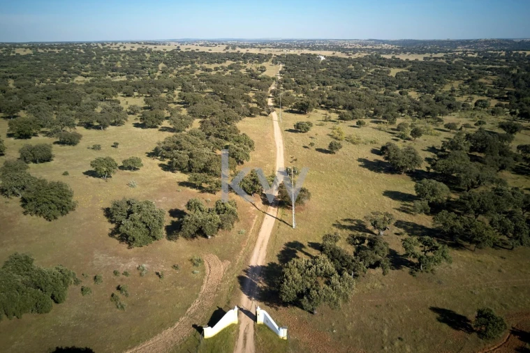 Moradia T7 para Arrendamento em Monforte Foto 93