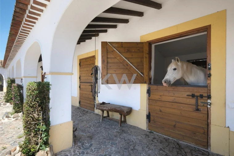 Moradia T7 para Arrendamento em Monforte Foto 82