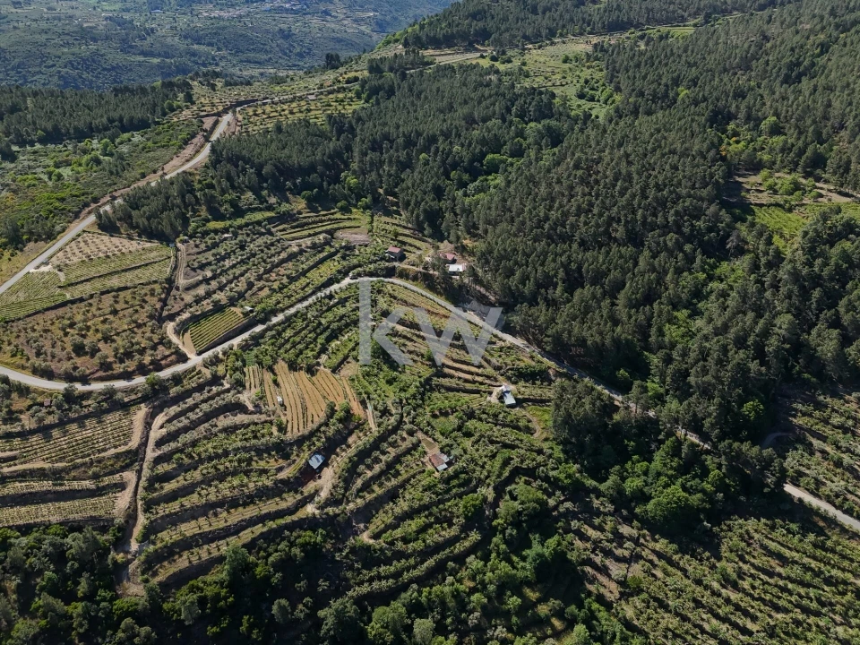 Terreno para Venda em Castelo Foto 9