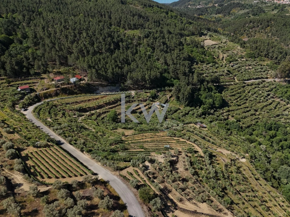 Terreno para Venda em Castelo Foto 15
