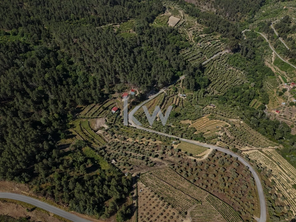 Terreno para Venda em Castelo Foto 16