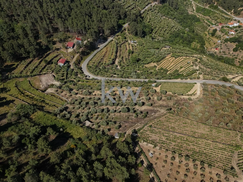 Terreno para Venda em Castelo Foto 3