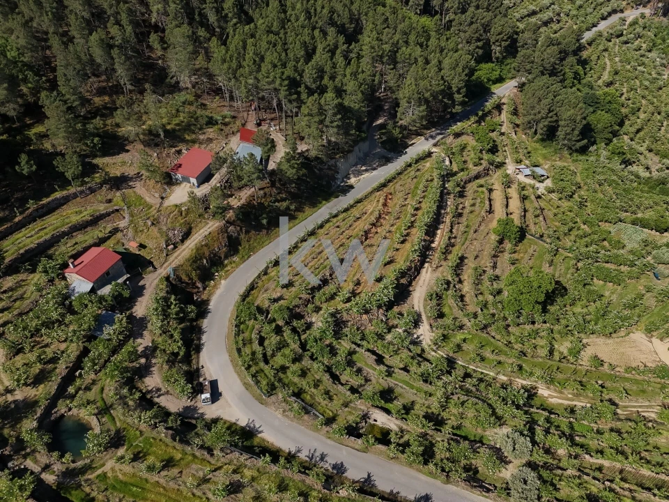 Terreno para Venda em Castelo Foto 4