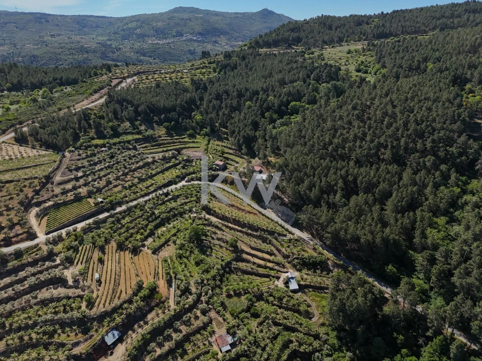 Terreno para Venda em Castelo Foto 11