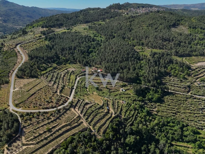 Terreno para Venda em Castelo Foto 14