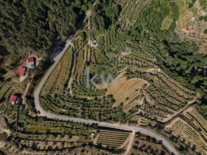 Terreno para Venda em Castelo Foto 5