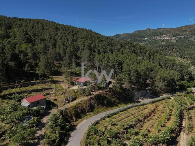 Terreno para Venda em Castelo Foto 6