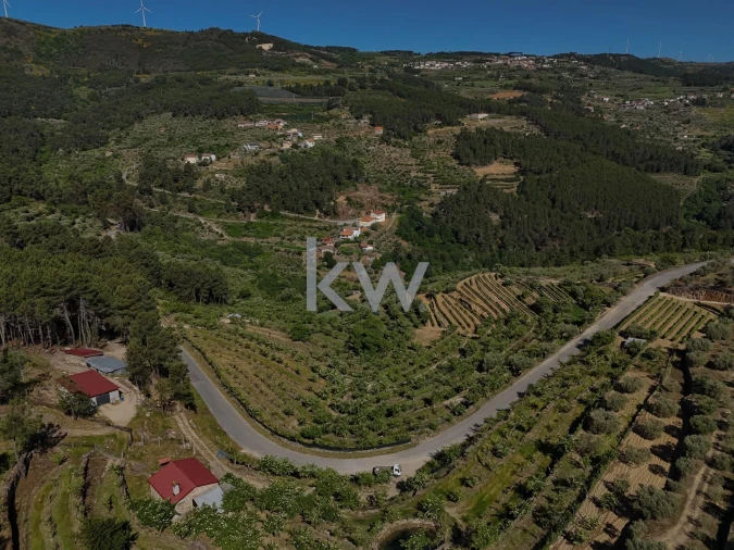 Terreno para Venda em Castelo Foto 7