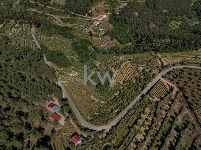 Terreno para Venda em Castelo Foto 8