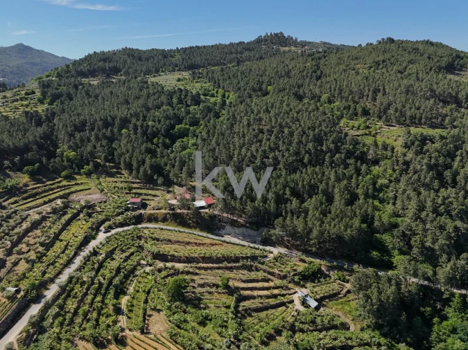 Terreno para Venda em Castelo Foto 13