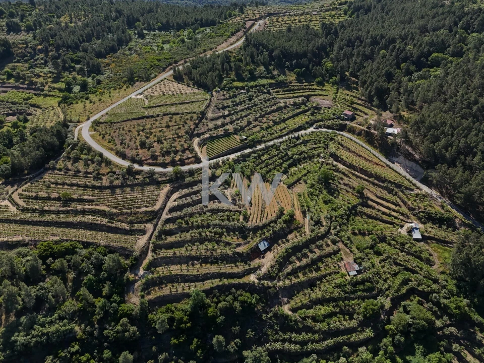 Terreno para Venda em Castelo Foto 1