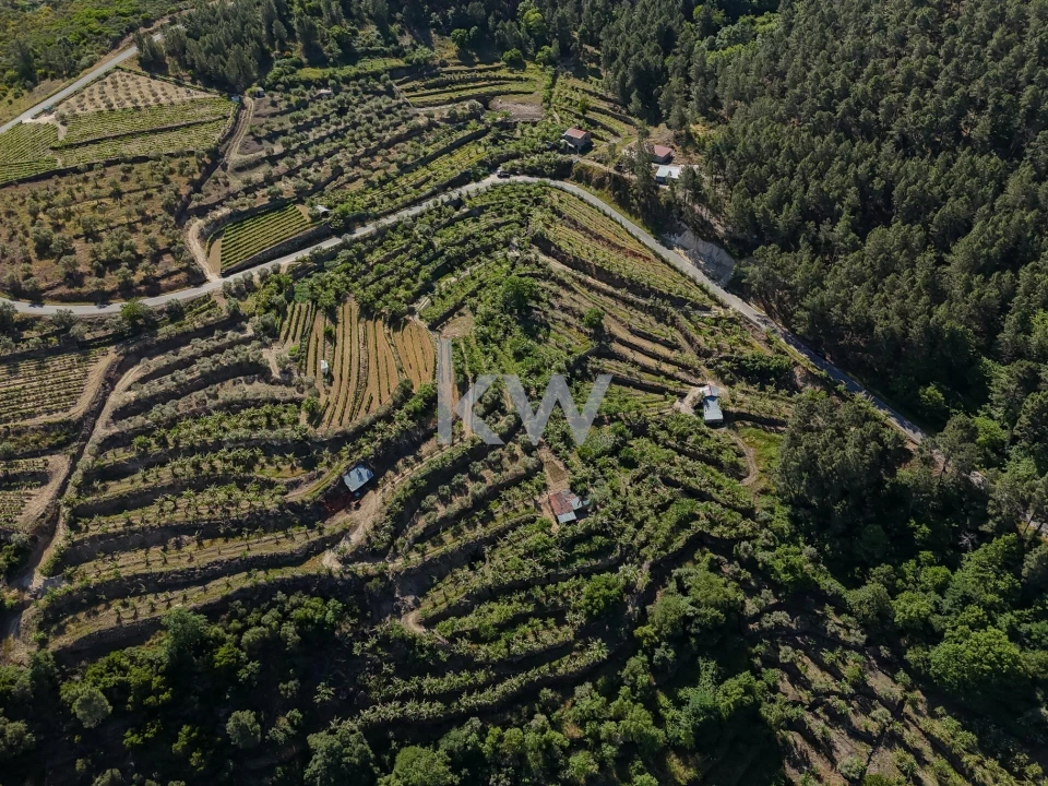 Terreno para Venda em Castelo Foto 10