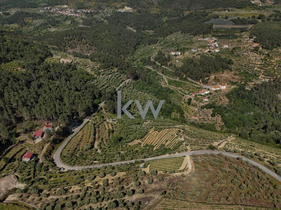Terreno para Venda em Castelo Foto 2