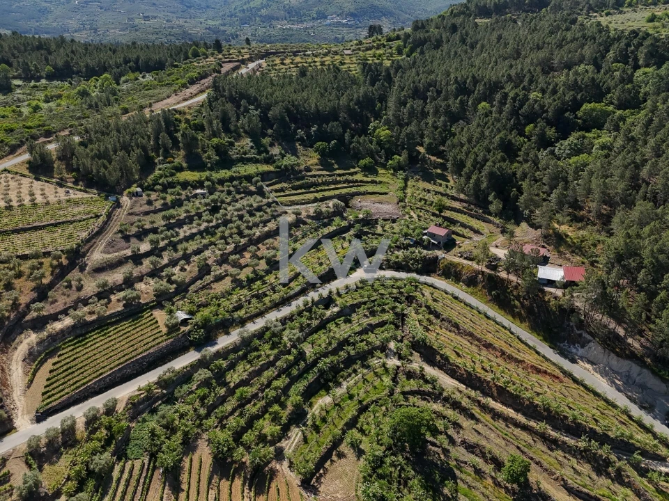 Terreno para Venda em Castelo Foto 12