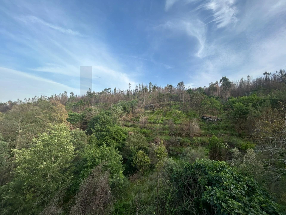 Moradia T5 para Venda em Midões Foto 10