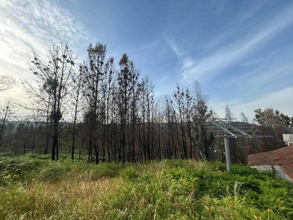 Moradia T5 para Venda em Midões Foto 13