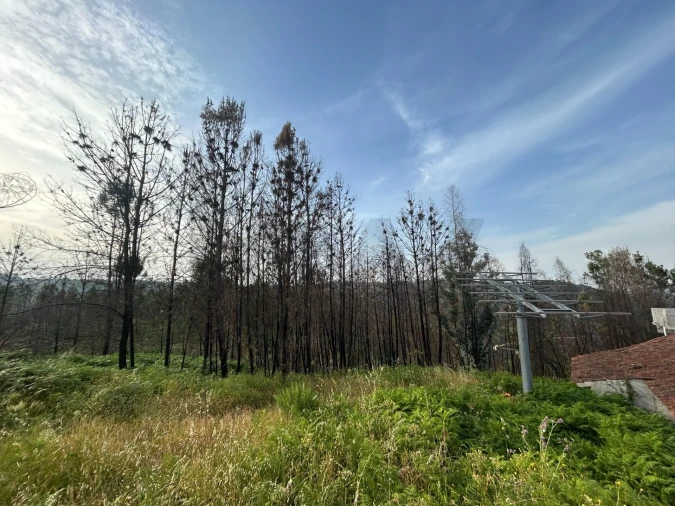 Moradia T5 para Venda em Midões Foto 13