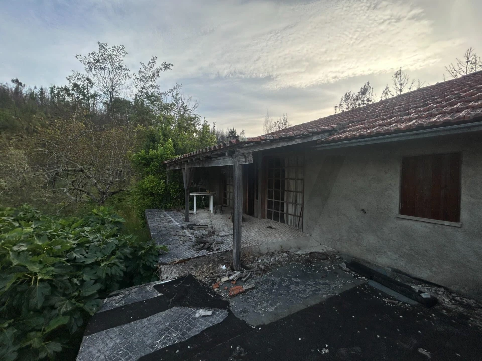 Moradia T5 para Venda em Midões Foto 3