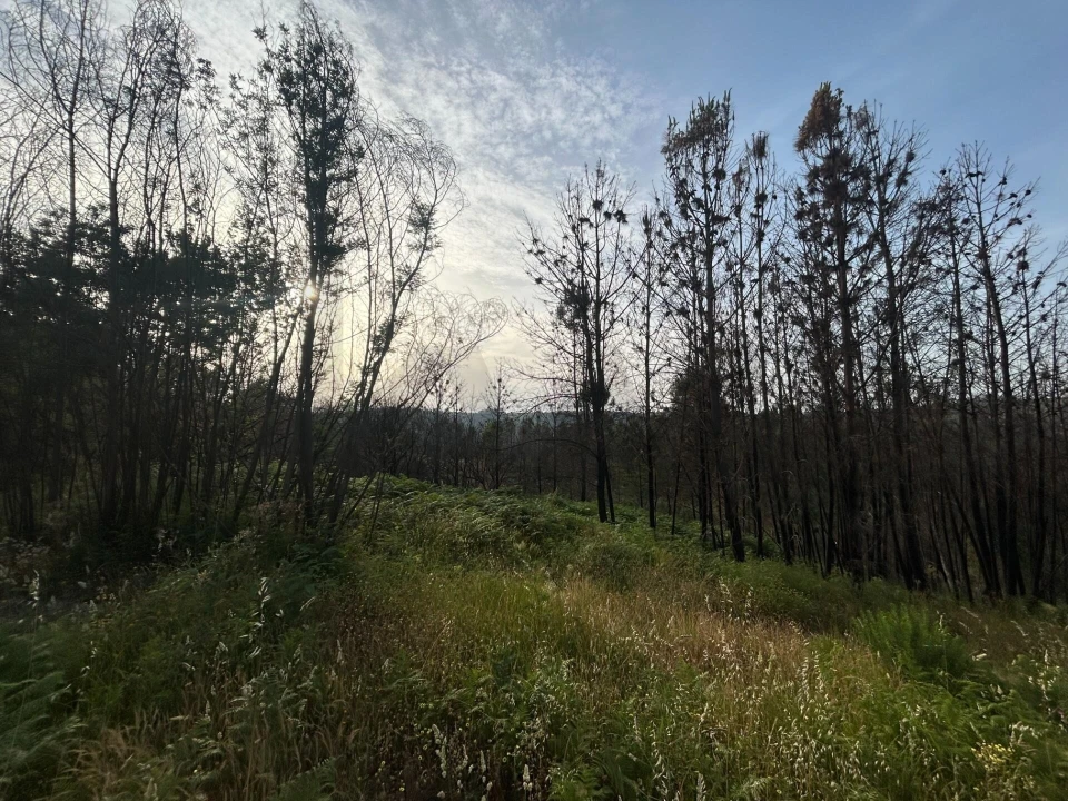 Moradia T5 para Venda em Midões Foto 12