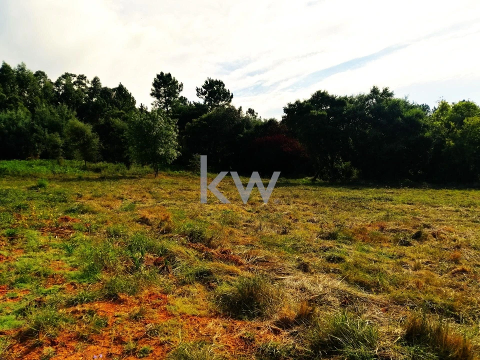Terreno para Venda em Sé Nova, Santa Cruz, Almedina e São Bartolomeu Foto 7