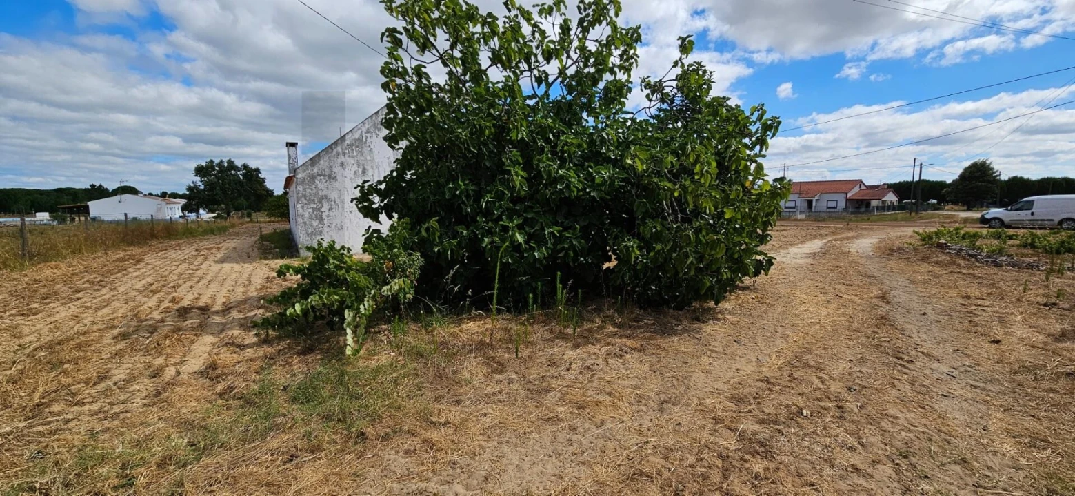 Quinta T2 para Venda em Grândola e Santa Margarida da Serra Foto 12
