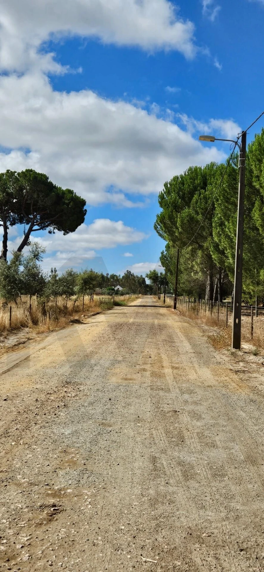 Quinta T2 para Venda em Grândola e Santa Margarida da Serra Foto 11