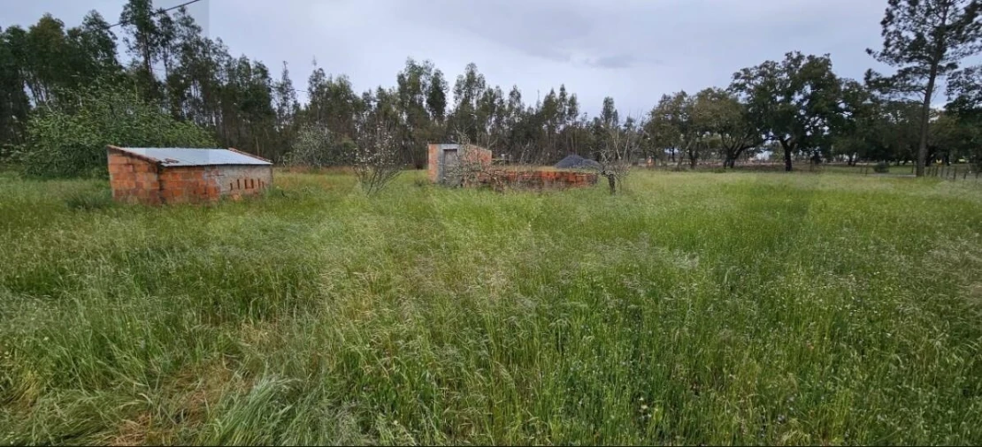Quinta T2 para Venda em Grândola e Santa Margarida da Serra Foto 3