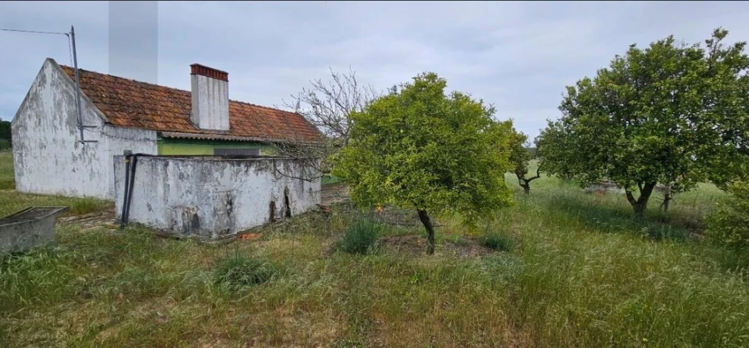 Quinta T2 para Venda em Grândola e Santa Margarida da Serra Foto 2