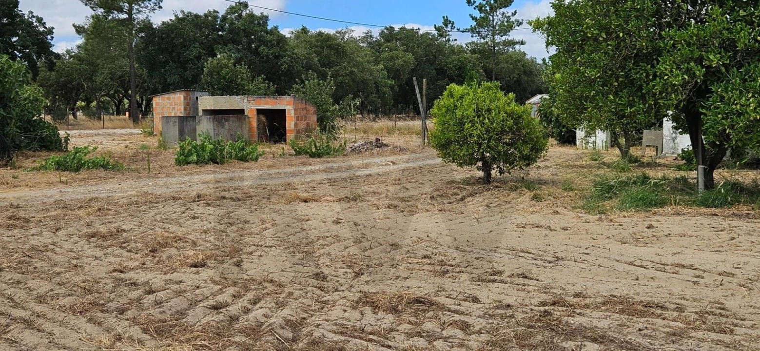 Quinta T2 para Venda em Grândola e Santa Margarida da Serra Foto 13