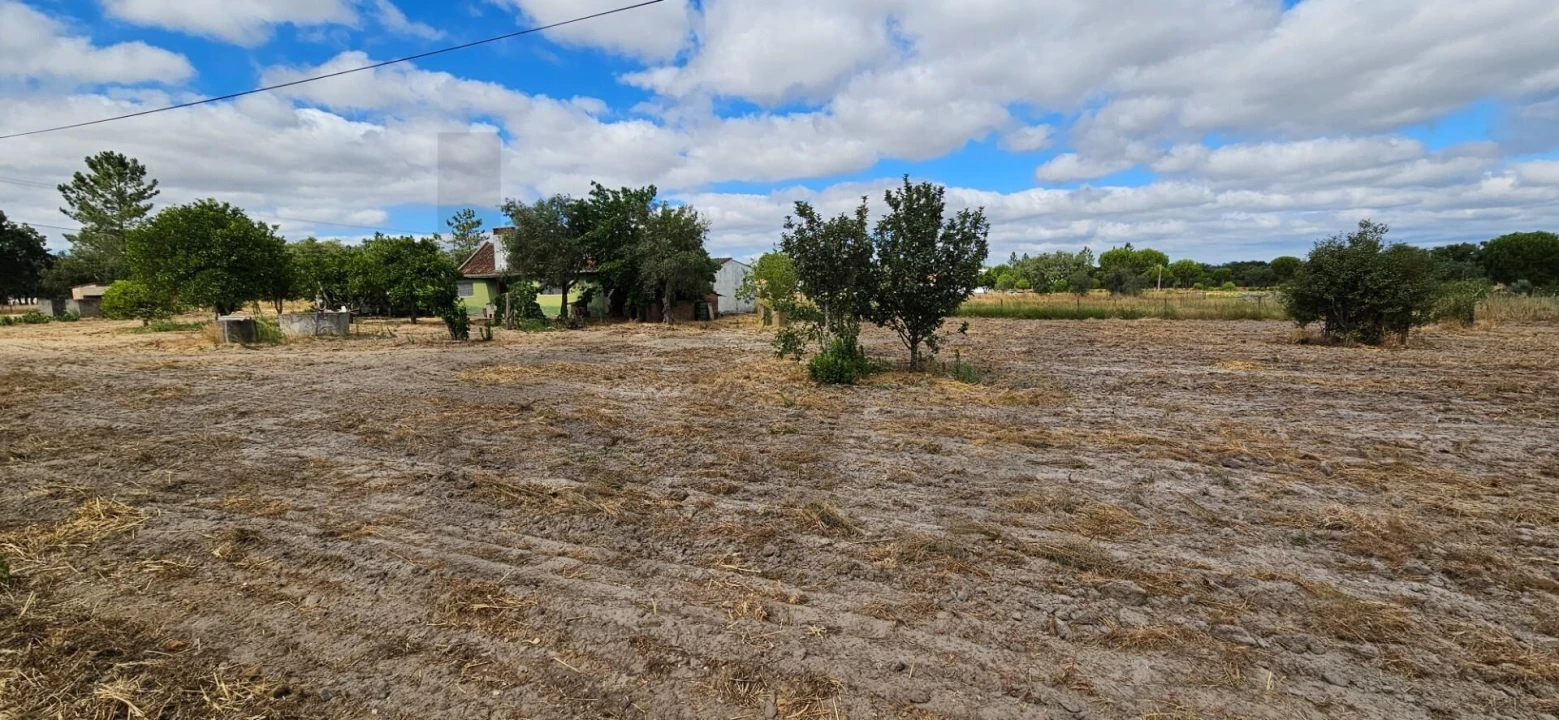 Quinta T2 para Venda em Grândola e Santa Margarida da Serra Foto 17
