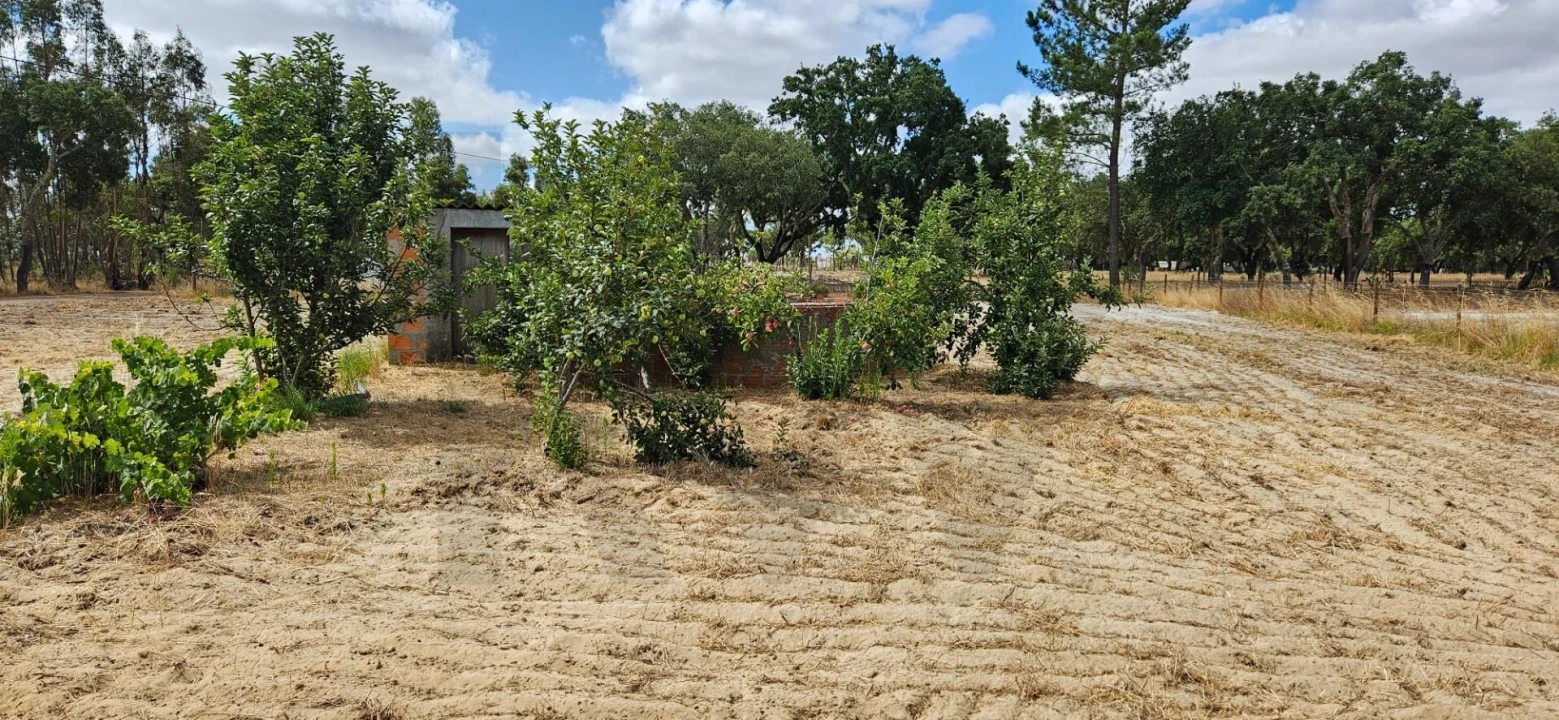 Quinta T2 para Venda em Grândola e Santa Margarida da Serra Foto 15