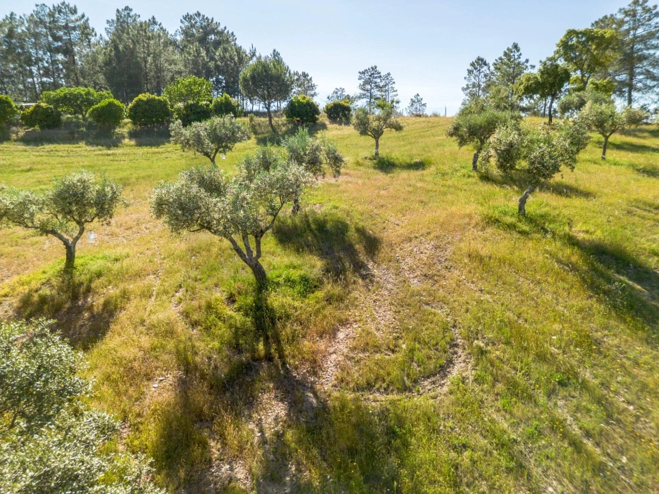 Quinta T6 para Venda em Benquerenças Foto 71