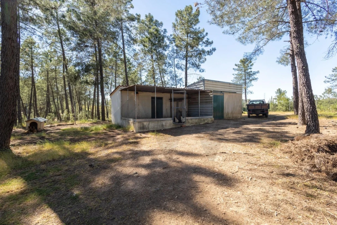 Quinta T6 para Venda em Benquerenças Foto 72