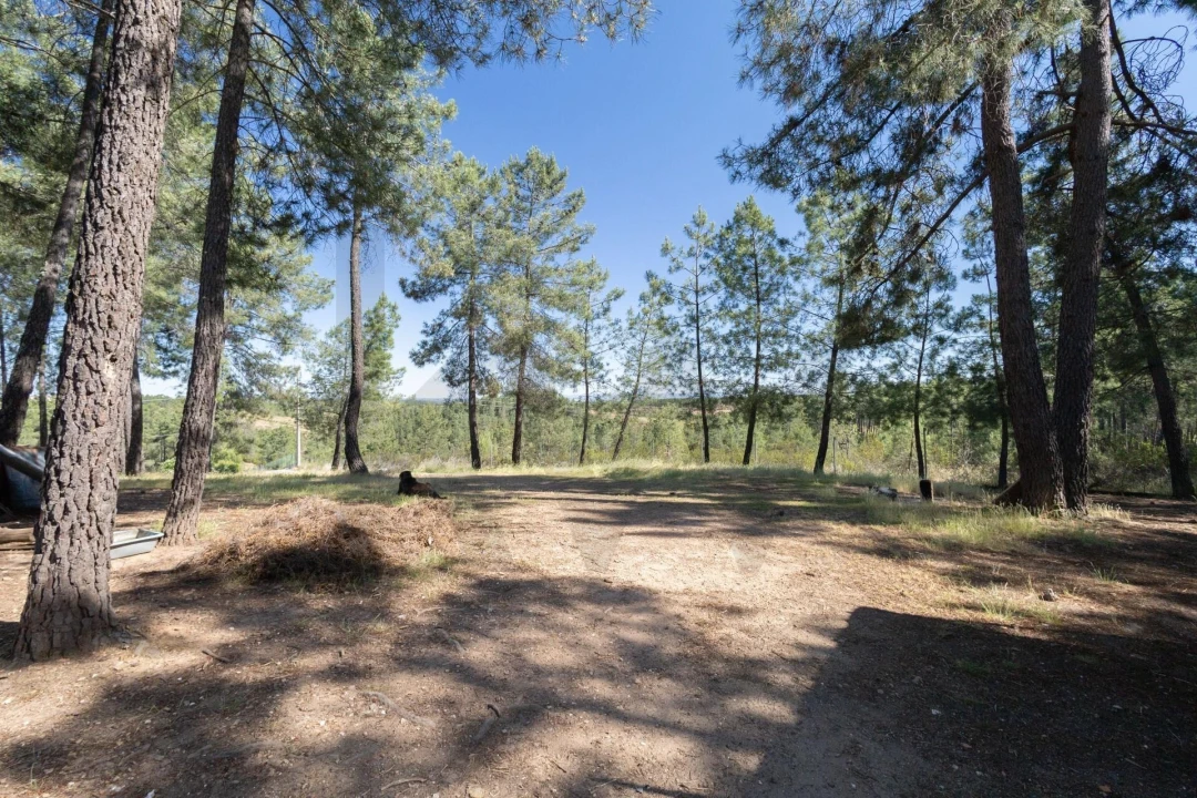 Quinta T6 para Venda em Benquerenças Foto 73