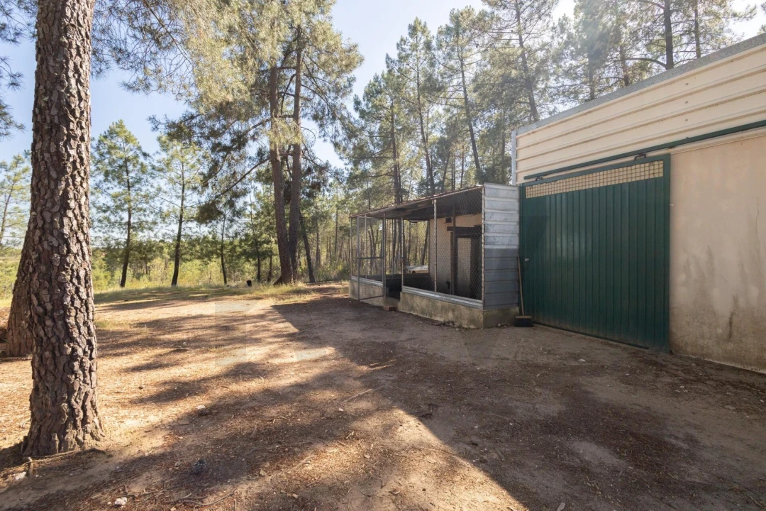 Quinta T6 para Venda em Benquerenças Foto 75