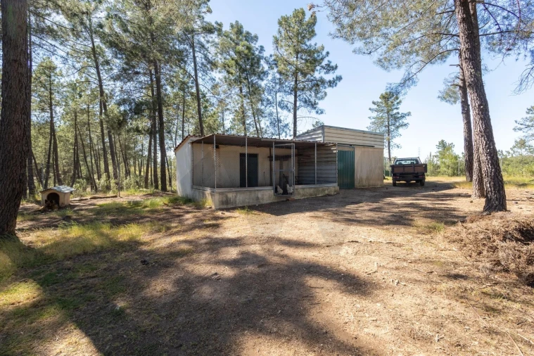 Quinta T6 para Venda em Benquerenças Foto 72