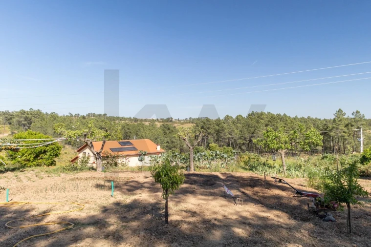 Quinta T6 para Venda em Benquerenças Foto 79