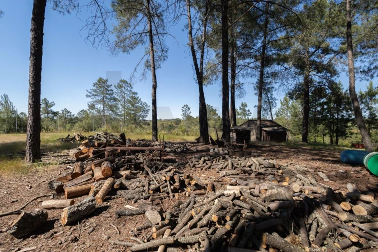 Quinta T6 para Venda em Benquerenças Foto 74