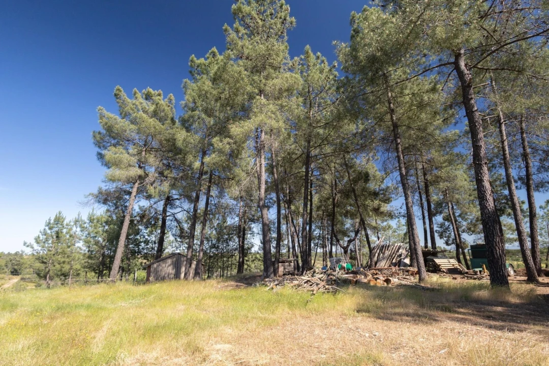 Quinta T6 para Venda em Benquerenças Foto 77