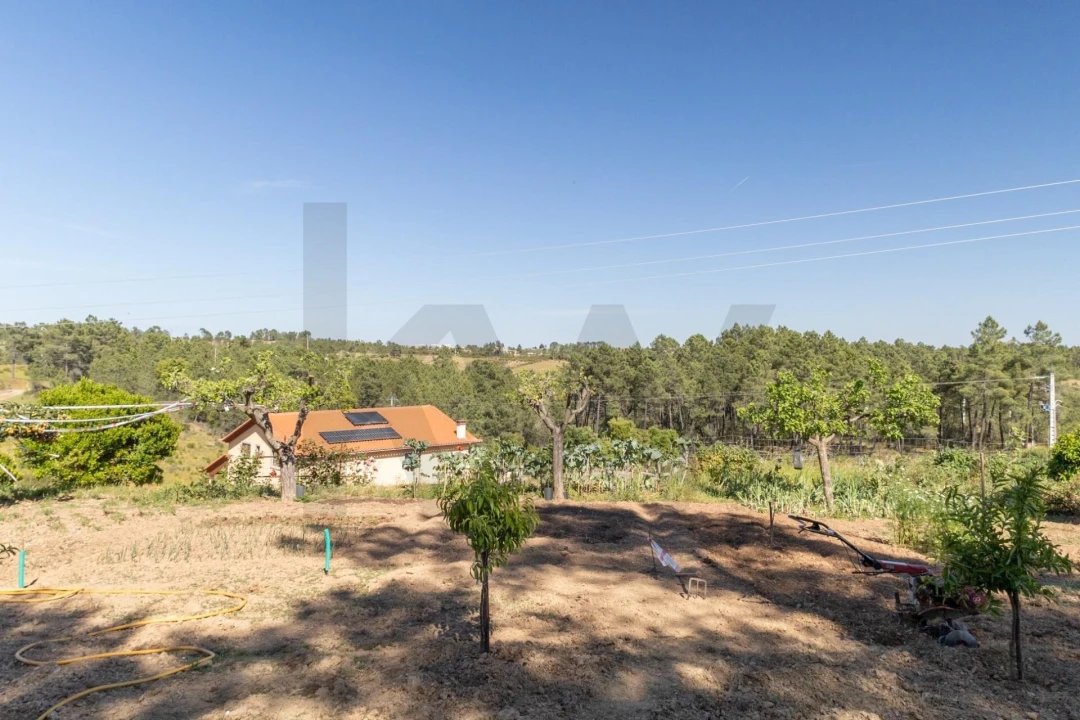 Quinta T6 para Venda em Benquerenças Foto 79