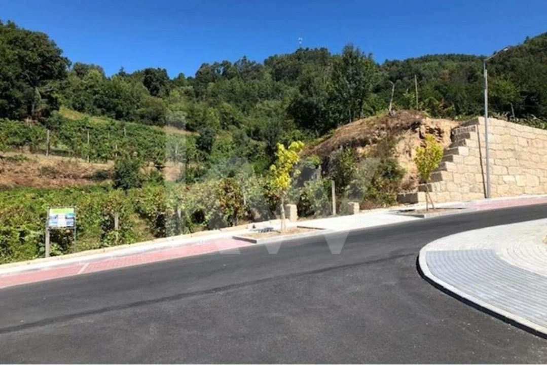 Terreno para Venda em Cerva e Limões Foto 3