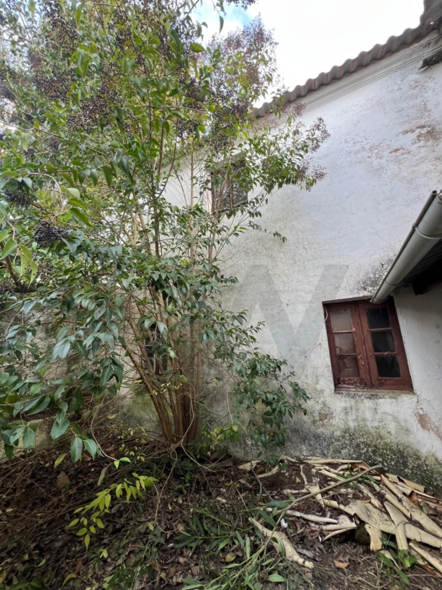 Moradia T3 para Venda em Portel Foto 12