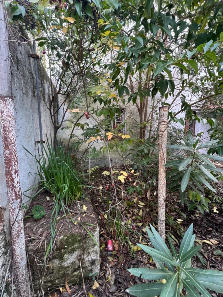 Moradia T3 para Venda em Portel Foto 21