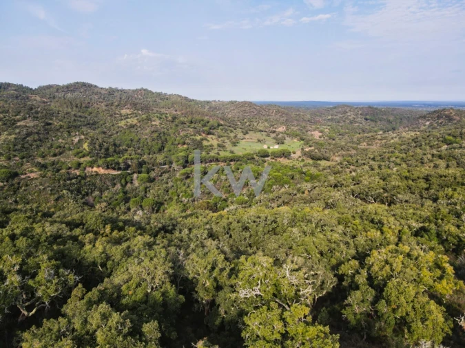 Quinta T1 para Venda em Grândola e Santa Margarida da Serra Foto 15