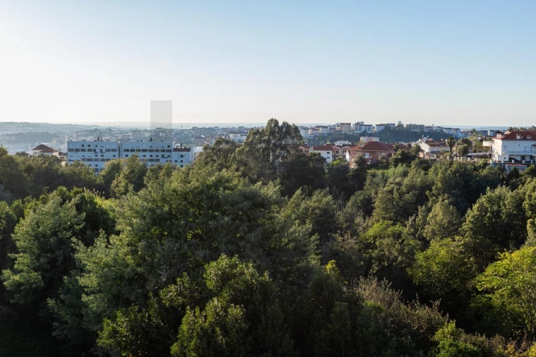 Moradia T4 para Venda em Santo Antonio dos Olivais Foto 45