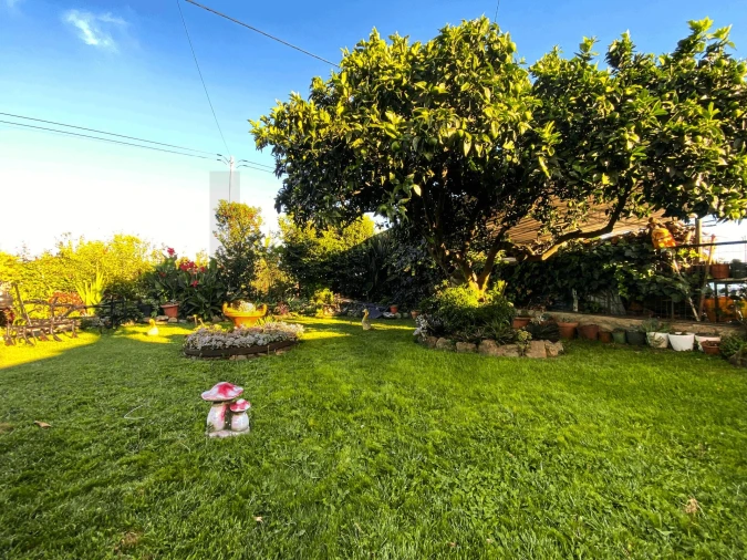 Moradia T5 para Venda em Vale de Prazeres e Mata da Rainha Foto 10